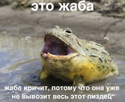 1717493716157128510.jpg.cf99684041c671ec951ff25b96c5cbb0.jpg