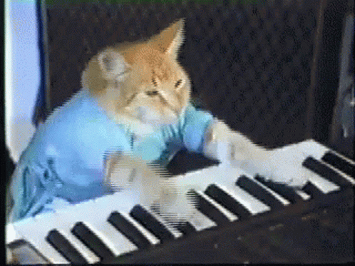 tenor.gif.d934f6d0c0a5c60f810a1dc570a08337.gif