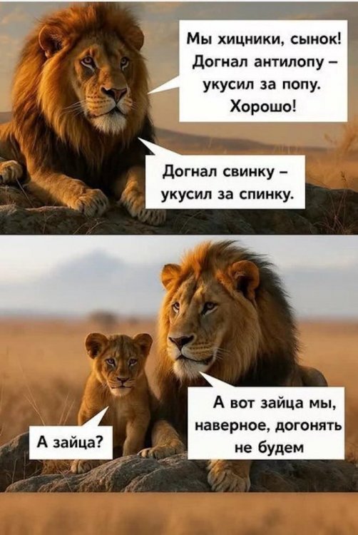 393723856.p.1200.1200.0.jpg